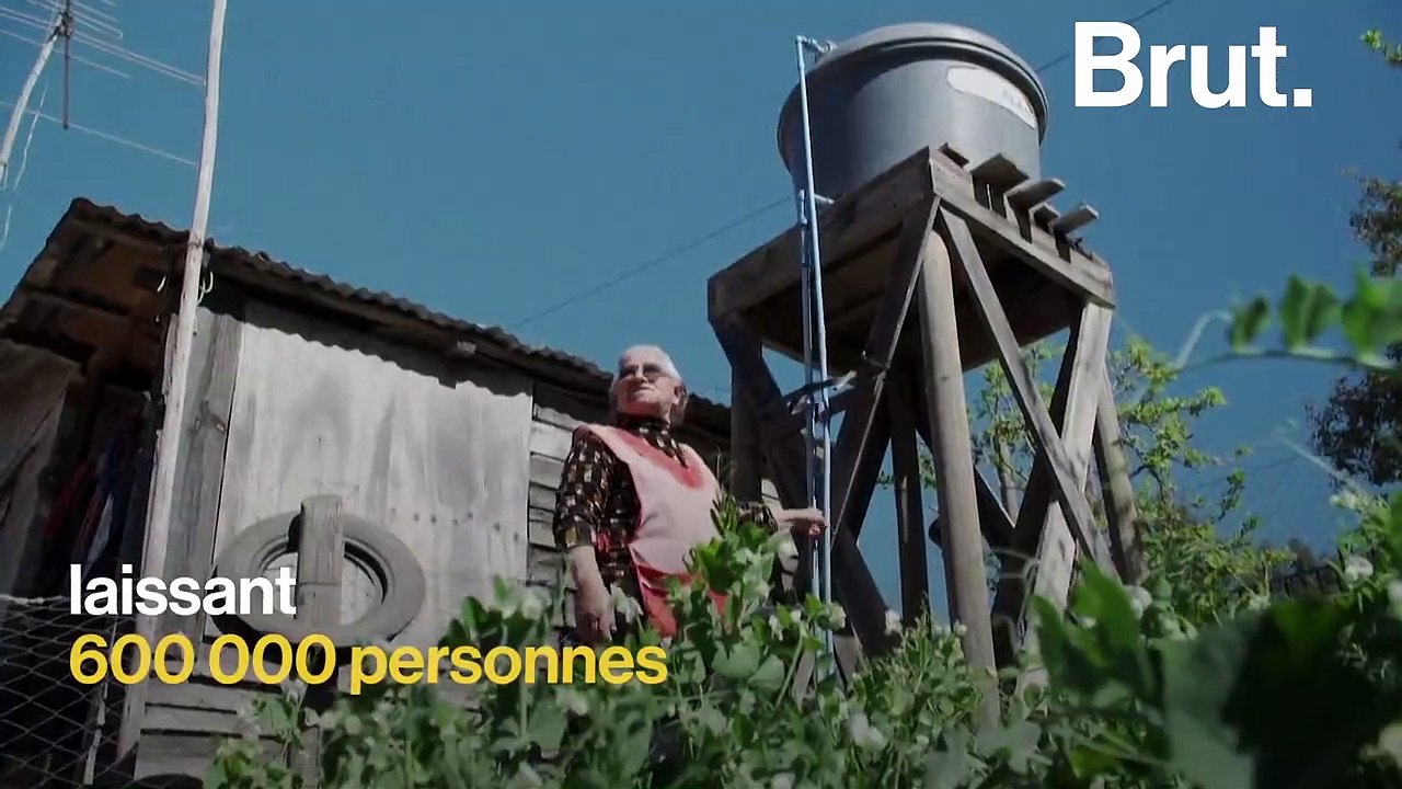 Rivières asséchées, enfants assoiffés… la face cachée des cultures d'avocats au Chili