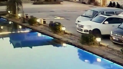 Este perro 'sin carnet de conducir' se pone al volante y lanza el coche de su dueño a un estanque