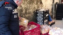 Milano - Pane, Kebab e piccioni. Operazione dei nas e dei carabinieri (16.12.19)