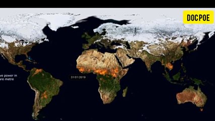 INCENDIOS FORESTALES A NIVEL MUNDIAL DURANTE EL 2019