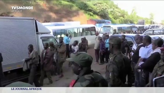 Près de 300 rebelles hutus rwandais actifs dans l'est de la RDC ont été rapatriés au Rwanda