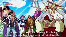 [Dự đoán One Piece 966]. Đại chiến giữa hai huyền thoại Roger và Râu Trắng