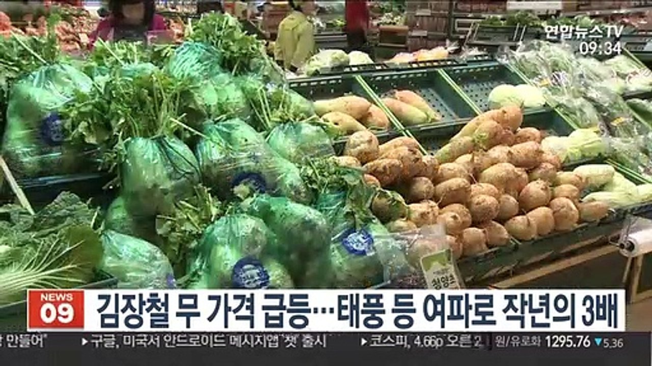 김장철 무 가격 급등…태풍 등 여파로 작년의 3배