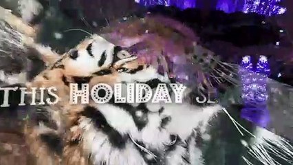 Happy Holidays From CZS and Brookfield Zoo!