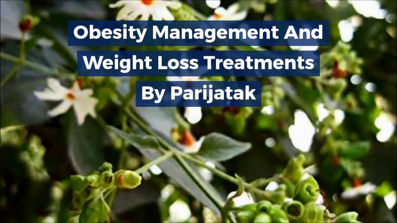 Obesity Treatment in Ayurveda Ayurvedic Treatment for Weight Loss