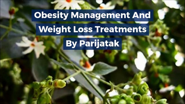Obesity Treatment in Ayurveda | Ayurvedic Treatment for Weight Loss