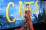 Taylor Swift's felines inspired Rebel Wilson's Cats character