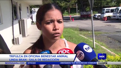 Trifulca en oficina bienestar animal - Nex Noticias