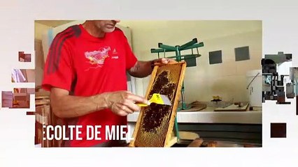 récole et mise en pot miel du rucher Lycée Jean Monnet