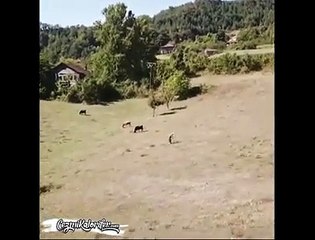 Drone Gören Masum Köylü