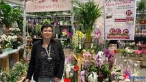 AGDE - Des cours d'art floral proposé au centre commercial hyper U