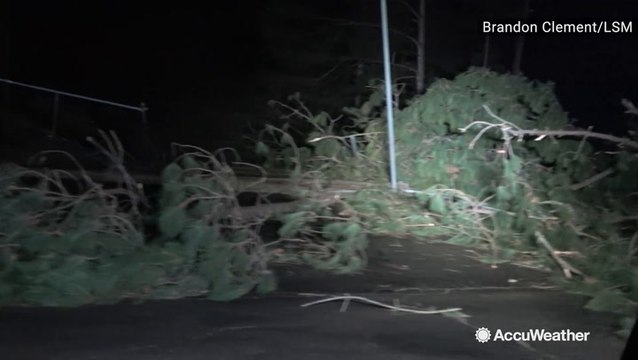 Tornado aftermath shows roofless buildings, trees uprooted