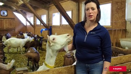 HAUTE-SAVOIE | Miss Agri 2020, c'est elle !