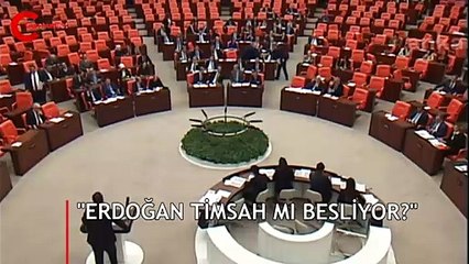 "Erdoğan timsah mı besliyor?"... AKP sıralarını kızdıran konuşma!