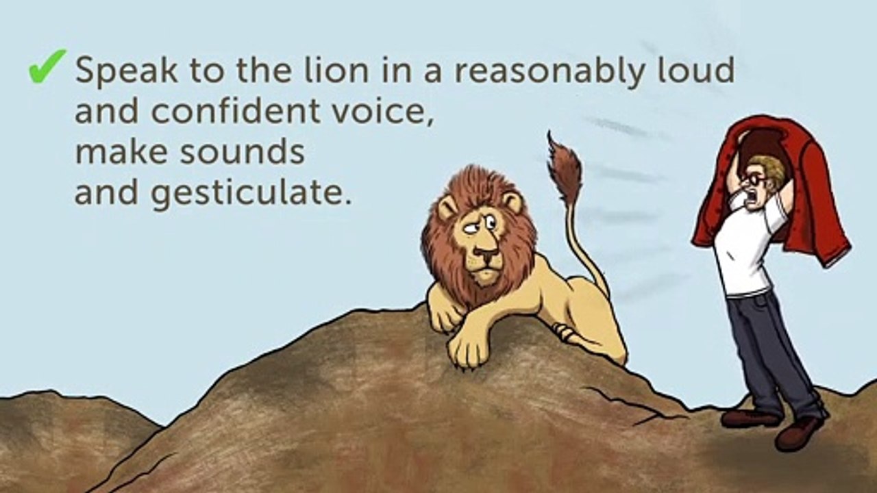 13 Tips on How to Survive Wild Animal Attacks