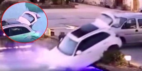 Çin'de sahibinin araca bıraktığı köpek, otomobilin havuza uçmasına sebep oldu