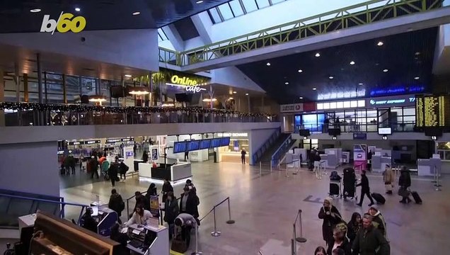 This Christmas Tree is Made Entirely Out of Contraband Confiscated at an Airport