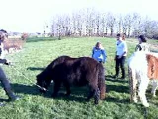 Viideo de nous auprés de l'étang