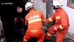Chinese firefighters rescue 'overweight' pigs that fell into septic tank