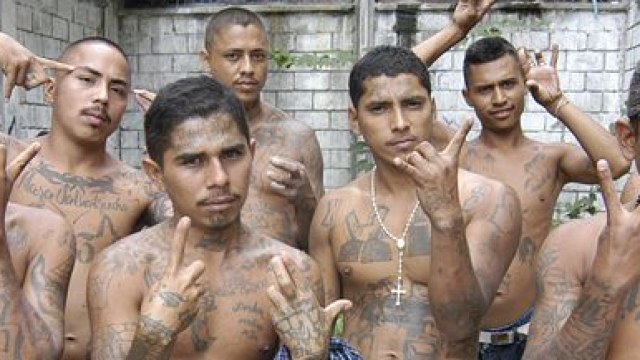 Pandilleros: Las 10 bandas más peligrosas del mundo