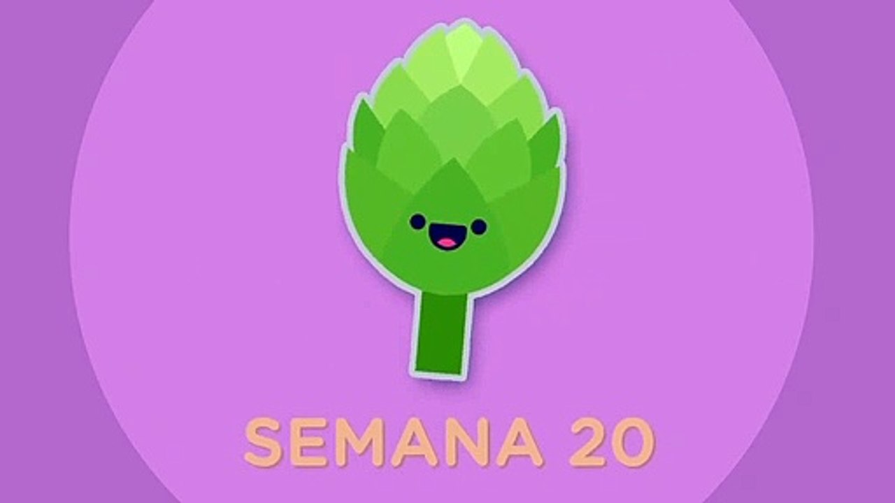 El tamaño de tu bebé mes a mes