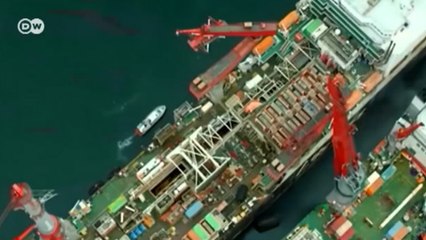 Как птицы могут помешать строительству "Северного потока-2" в Германии? (17.12.2019)