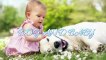 Cute Baby Playing fun with Patient Dogs _ Dog loves Baby Compilation