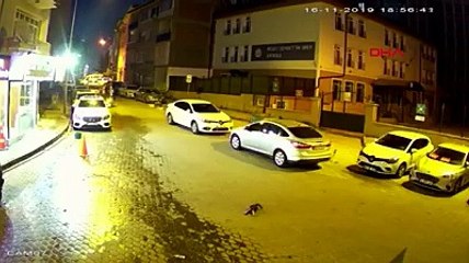 Sivas’da Kedinin Boğazına Bir Cisim Kaçtığını Fark Eden Güzel İnsanın Kediyi Hayata Döndürmesi