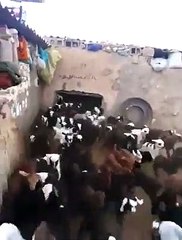 Muhteşem Buluşma anı... 