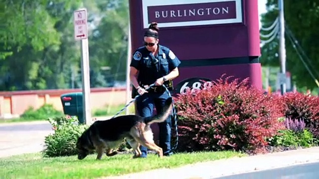 Animal Wellness Center Burlington: Testimonial - Officer Nicole