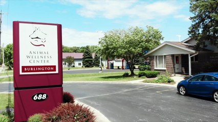 Animal Wellness Center: About Our 5 Southeast Wisconsin Practices