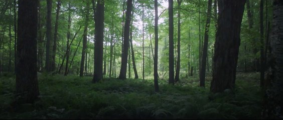 SALVAGE (part II of the KIN Fables Trilogy)