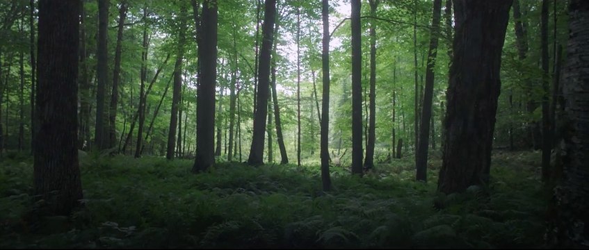 SALVAGE (part II of the KIN Fables Trilogy)