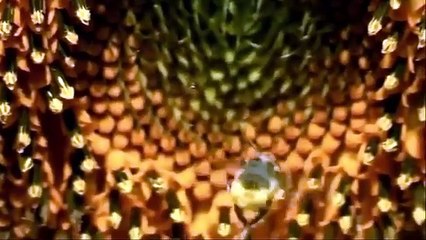 A Lei da Água (Novo Código Florestal)