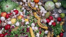 This Tech Startup Aims at Tackling the Problem of Food Wastage