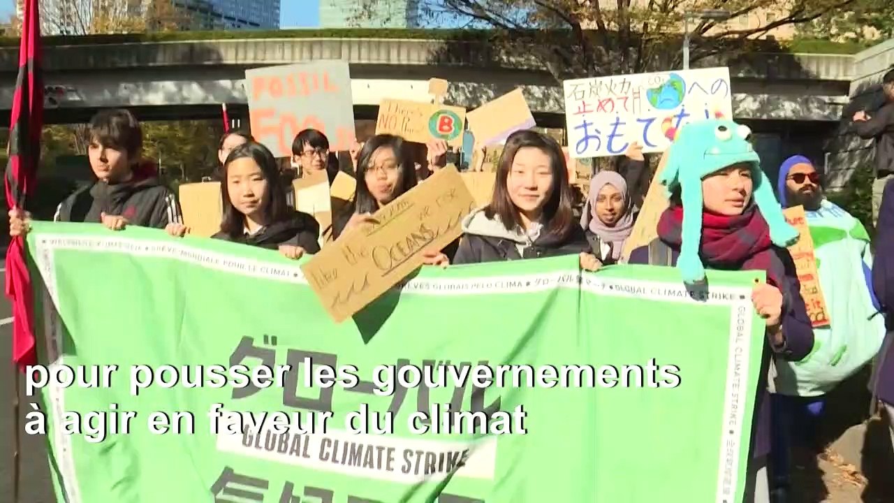 Retour sur les sujets environnementaux forts de 2019