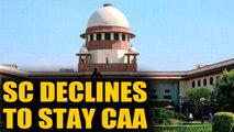 SC refuses to stay CAA, next hearing on Jan 22nd | OneIndia News