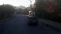 Mersin'de bir adam otomobilin arkasına bağladığı köpeği yerde sürükleyerek götürdü