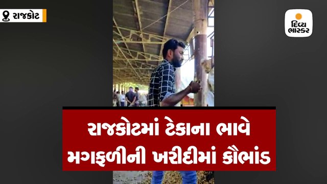 રાજકોટ: અમિત પટેલ અને મગફળી ખરીદનાર અધિકારી વચ્ચેની ઓડિયો ક્લિપ સામે આવી