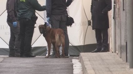 Comparan ADN de Marta Calvo con los restos encontrados en la vivienda de Valencia