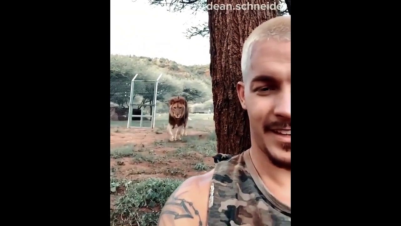 WTF - Quand tu tournes le dos à un lion...