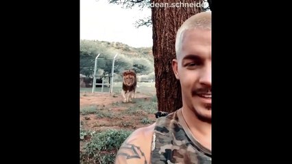 WTF - Quand tu tournes le dos à un lion...