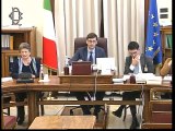 Roma - Vicepresidenza Inps, audizione Gnecchi (18.12.19)