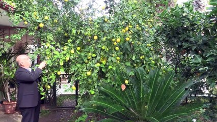 Kansere çok sevdiği işi 'turizm' ile karşı koydu - ANTALYA