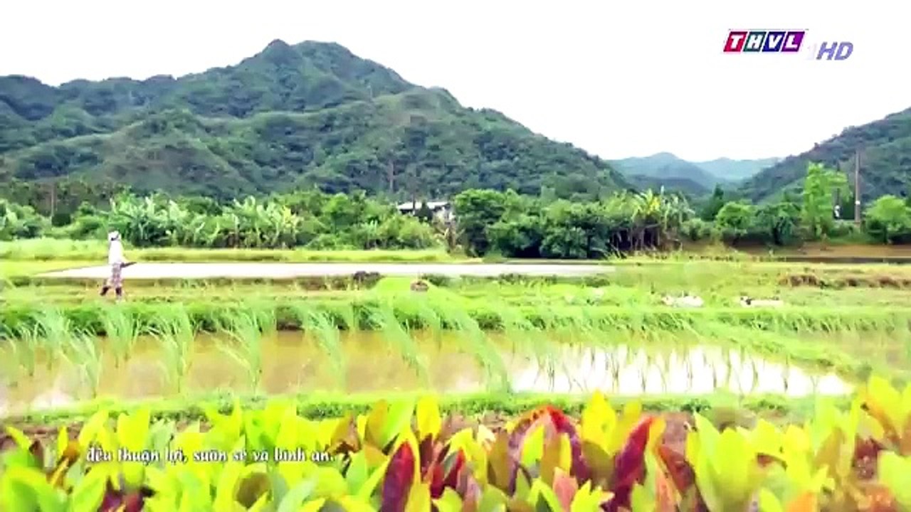 Đại Thời Đại Tập 264 - Phim Đài Loan Tap 265 - THVL1 Lồng Tiếng - Phim Dai Thoi Dai Tap 264