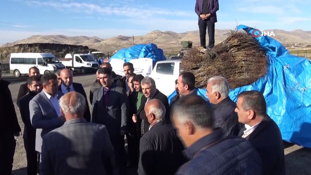 Gercüş’te çiftçilere 'Amerikan asma fidesi' dağıtıldı