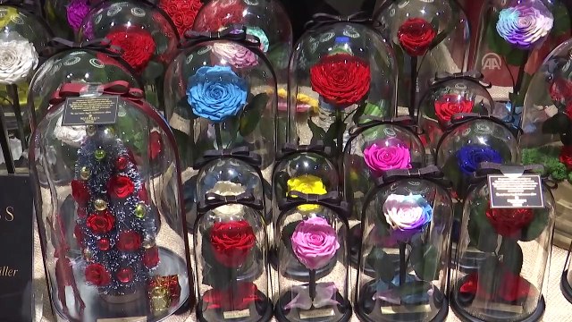 Tohum Otizm Vakfı Alışveriş Festivali başladı - İSTANBUL