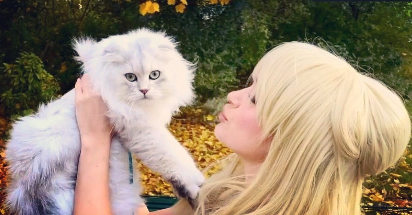 JE suis le chat!