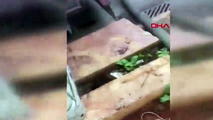 Kocaeli'de büyük skandal! Şoför her şeyi görüntülemiş