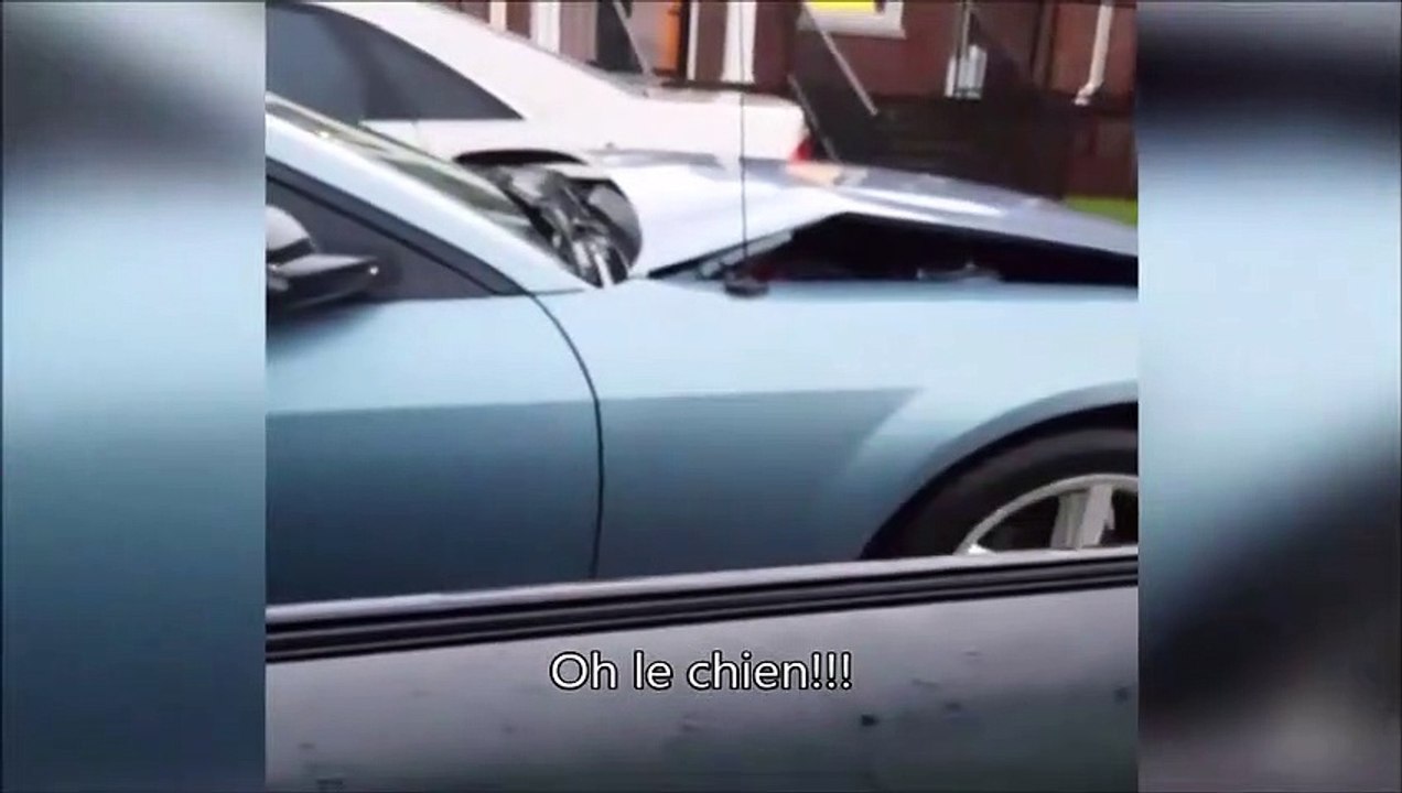 Est-ce une bonne idée de faire mumuse avec un chien de garde